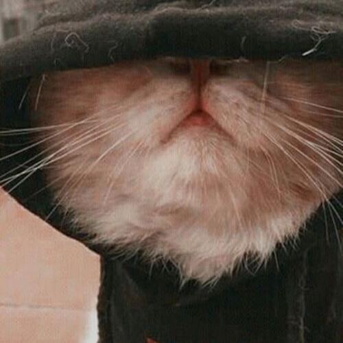 สมาชิกหมายเลข 5735947