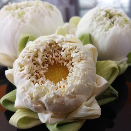 แค่รักมันยังไม่พอ