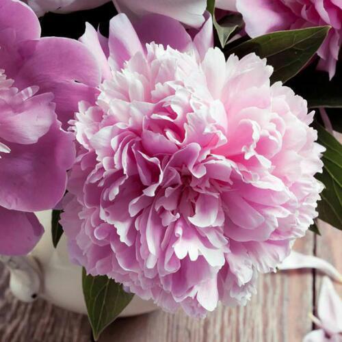 สมาชิกหมายเลข 4634759