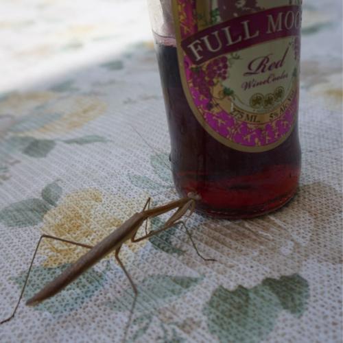 สมาชิกหมายเลข 1998375