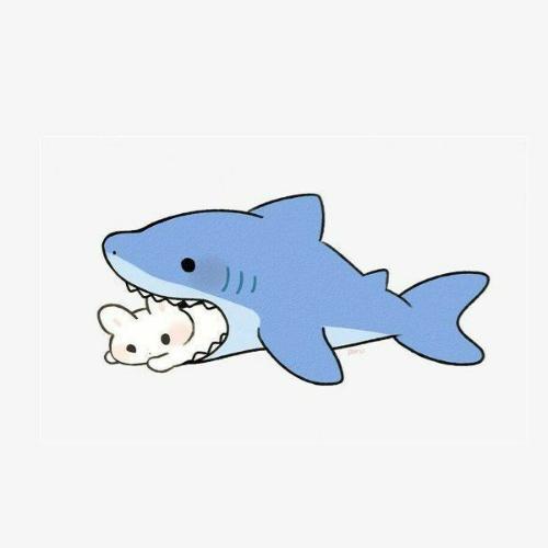 สมาชิกหมายเลข 4551253