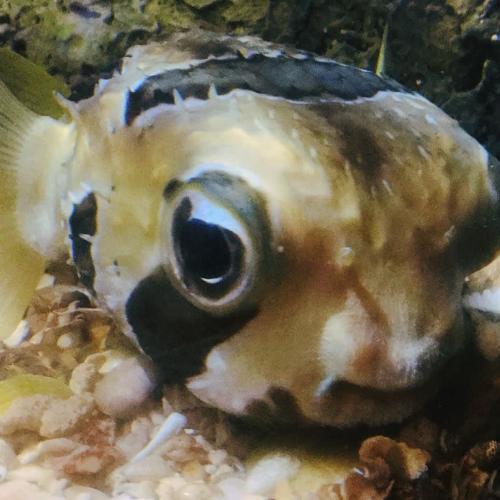 สมาชิกหมายเลข 5387881