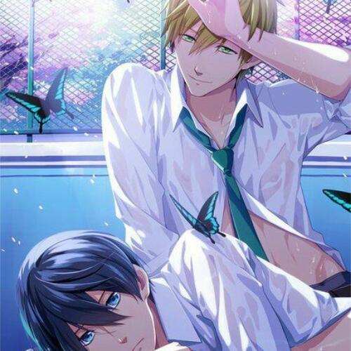 สมาชิกหมายเลข 5387913