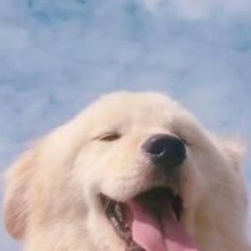 สมาชิกหมายเลข 5867635