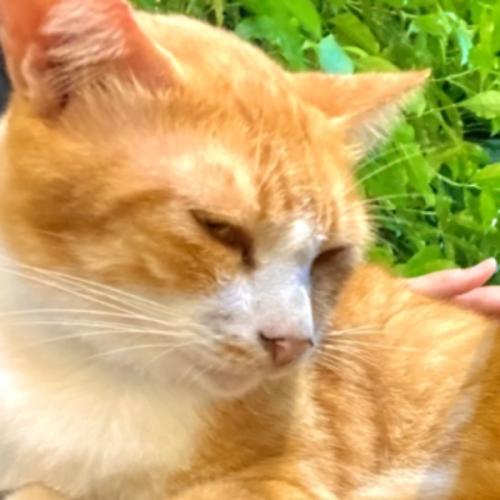 สมาชิกหมายเลข 6387441