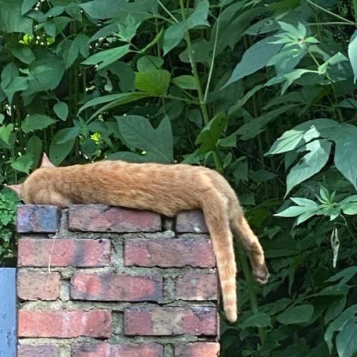 สมาชิกหมายเลข 6442380