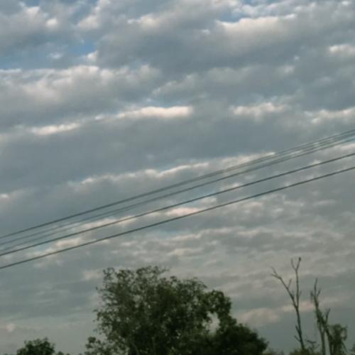 สมาชิกหมายเลข 6784994