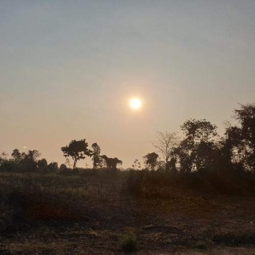 Happiness All Around