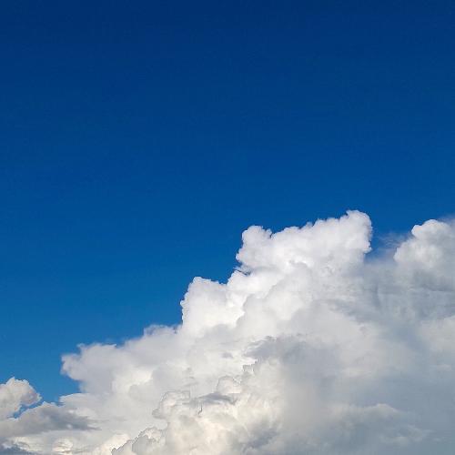 สมาชิกหมายเลข 8503350