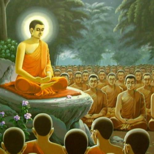 สมาชิกหมายเลข 9029103