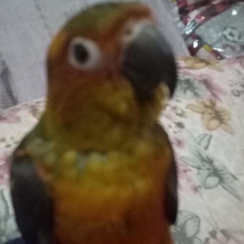 สมาชิกหมายเลข 4563882