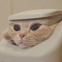 สมาชิกหมายเลข 1806711