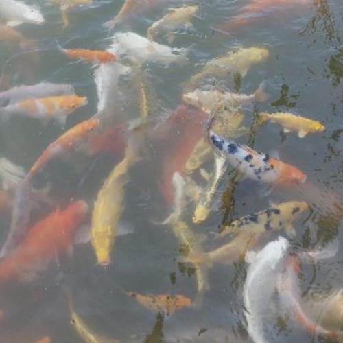 สมาชิกหมายเลข 3752510