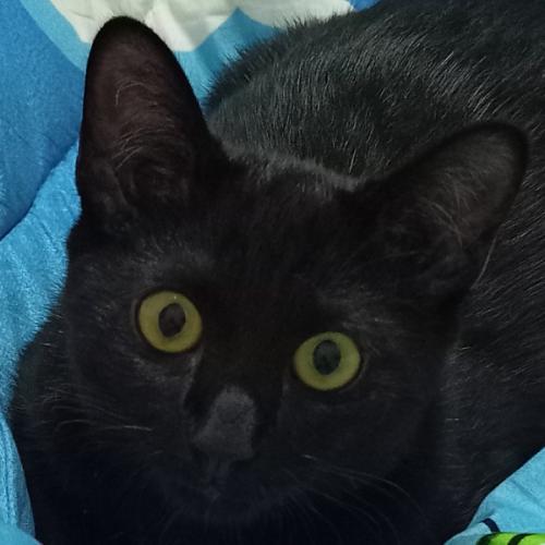 สมาชิกหมายเลข 4370066