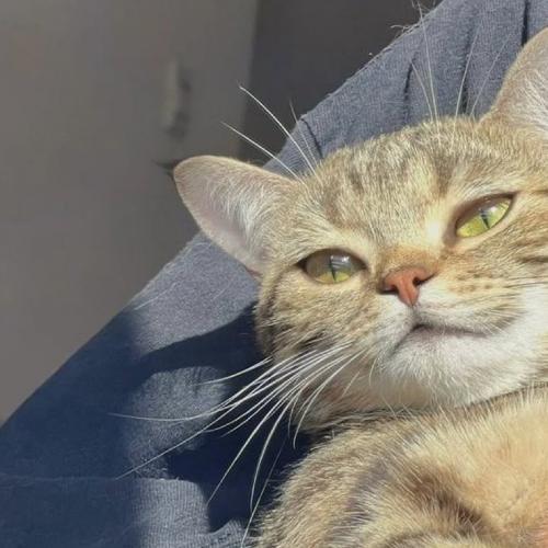 สมาชิกหมายเลข 7994678