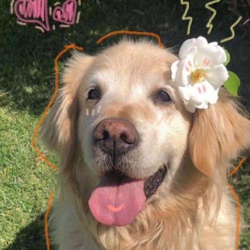 สมาชิกหมายเลข 6874923