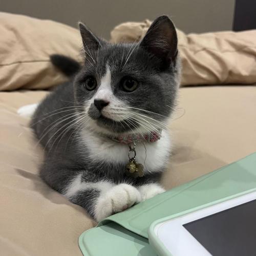 สมาชิกหมายเลข 9029346