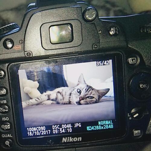 สมาชิกหมายเลข 1060175