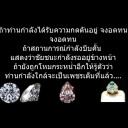 สมาชิกหมายเลข 4568491