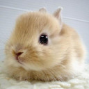 สมาชิกหมายเลข 4280657