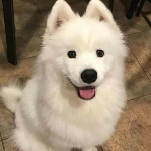 สมาชิกหมายเลข 3678659