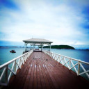 สมาชิกหมายเลข 4021694