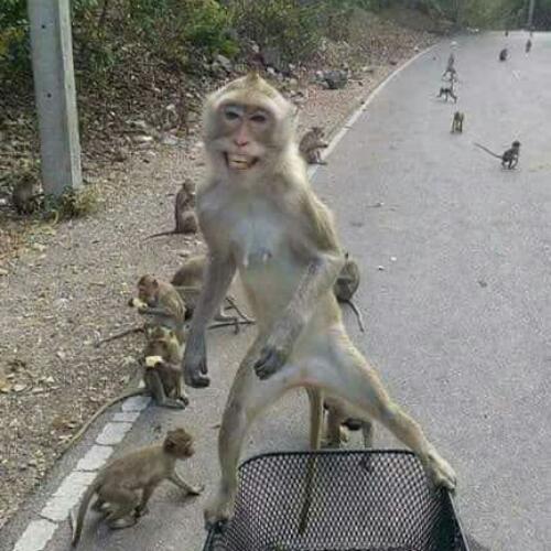 สมาชิกหมายเลข 5388777