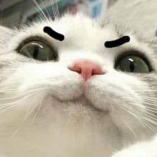 สมาชิกหมายเลข 5639715