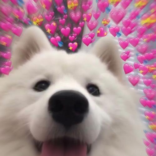 สมาชิกหมายเลข 5889274