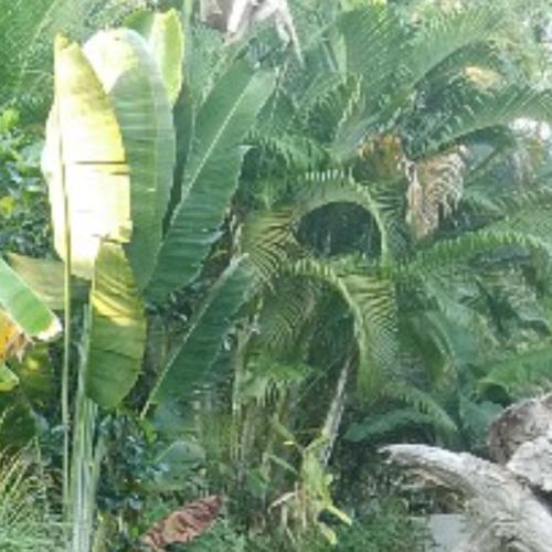 สมาชิกหมายเลข 4458236