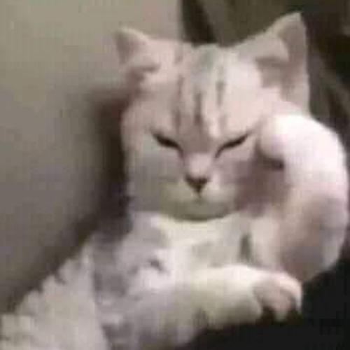 สมาชิกหมายเลข 6489807