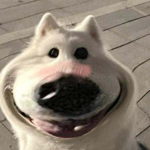 สมาชิกหมายเลข 6510611