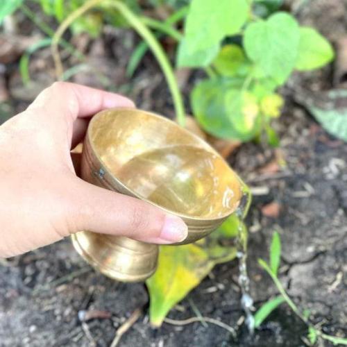 สมาชิกหมายเลข 7190305