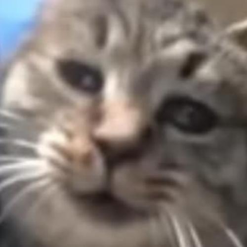 สมาชิกหมายเลข 7632997