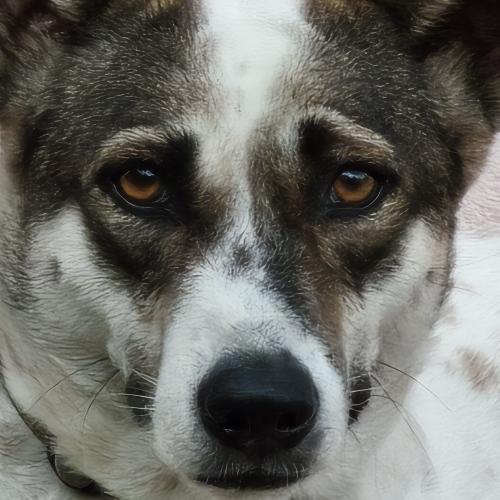 สมาชิกหมายเลข 784710