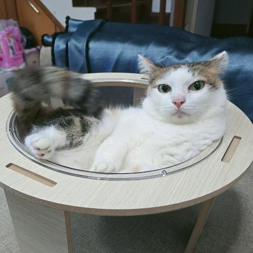 สมาชิกหมายเลข 9030135