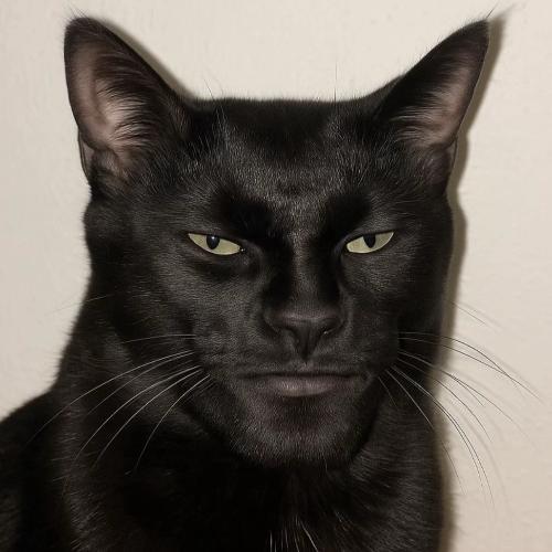 สมาชิกหมายเลข 9030698