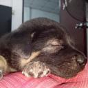 คนสวยใจดีมีตาหามียายไม่