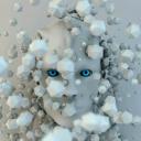 สมาชิกหมายเลข 4248390