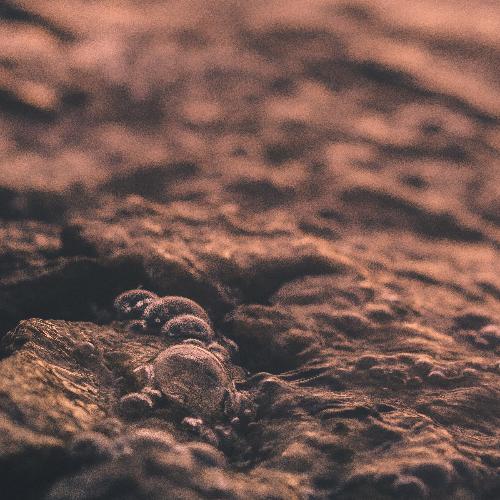 สมาชิกหมายเลข 4387797