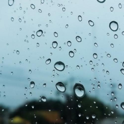 สมาชิกหมายเลข 5890499