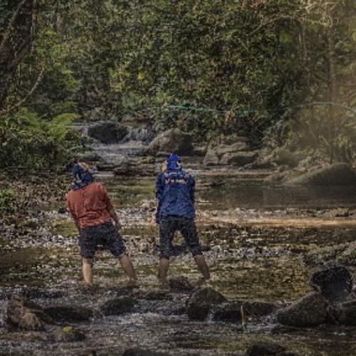 สมาชิกหมายเลข 6488815