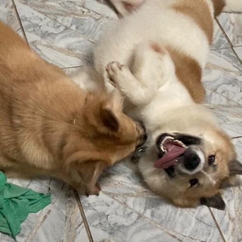 สมาชิกหมายเลข 6490587