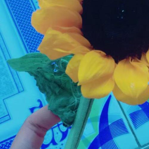 สมาชิกหมายเลข 6490818