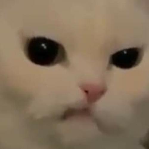 สมาชิกหมายเลข 6490867