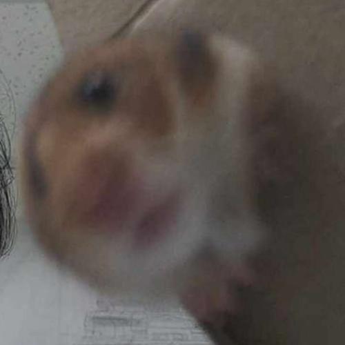 สมาชิกหมายเลข 7065636