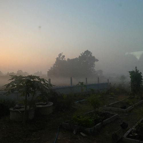 สมาชิกหมายเลข 8005155