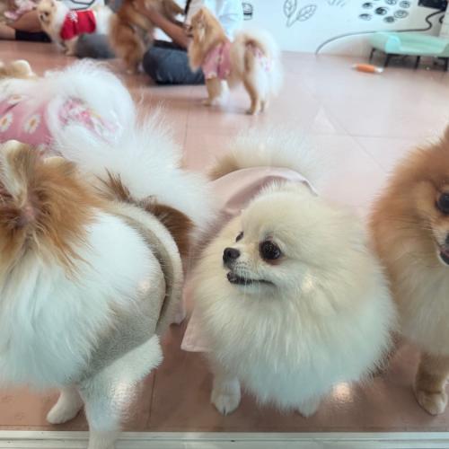 สมาชิกหมายเลข 3442705