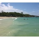 สมาชิกหมายเลข 3645081