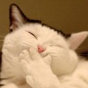 สมาชิกหมายเลข 4248863